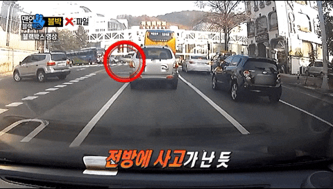 한국 도로위의 매드맥스 | 인스티즈