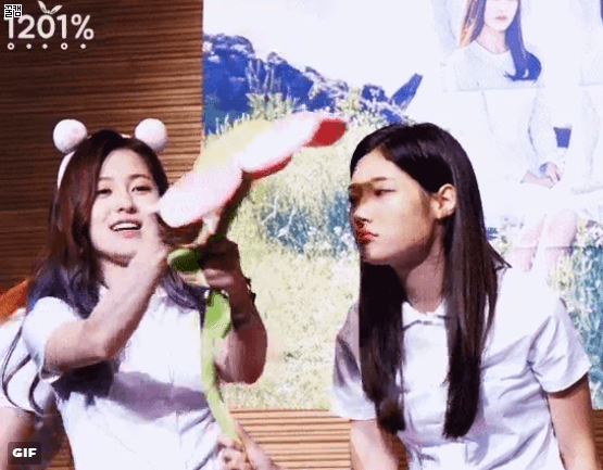 [다이아] 예빈 & 정채연 케미 | 인스티즈