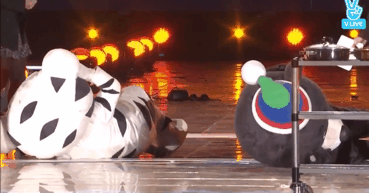 커여운 수호랑의 정체.gif | 인스티즈