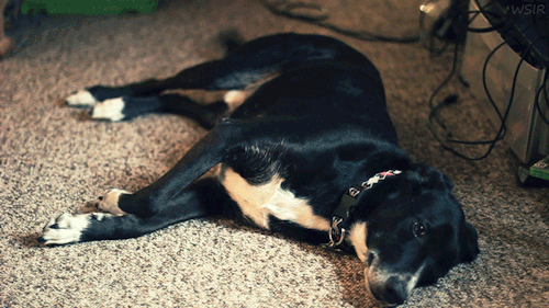  사람들은 왜 모를까 | 인스티즈