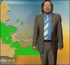 방송국에 난입한 고양이의 최후 | 인스티즈