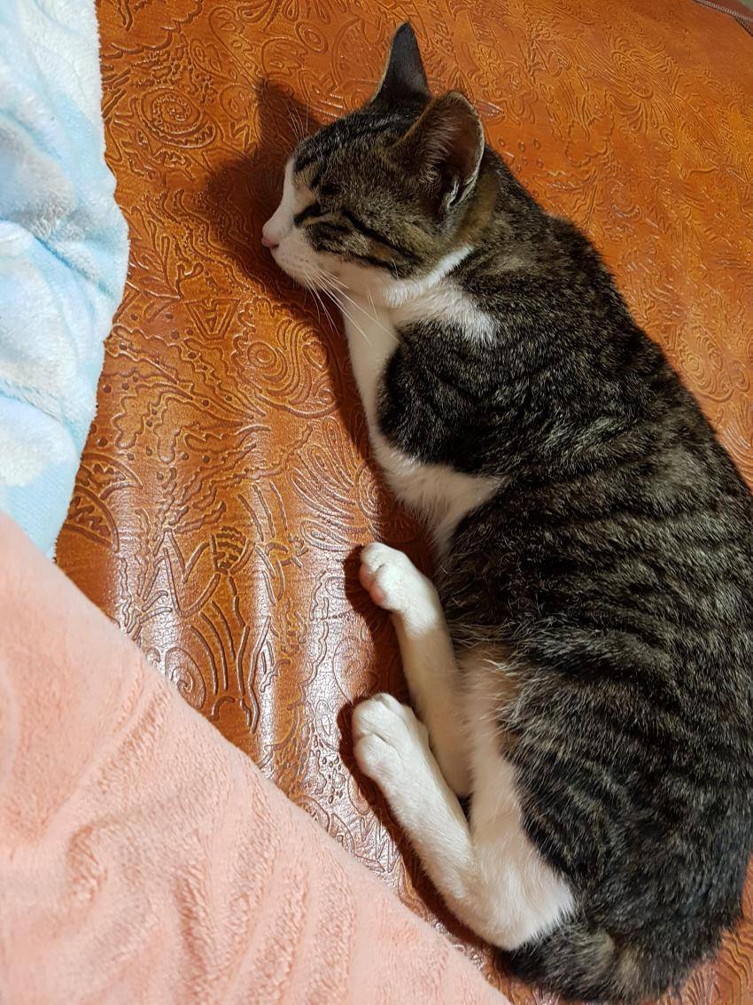 자주 가는 디씨 갤러리 | 인스티즈