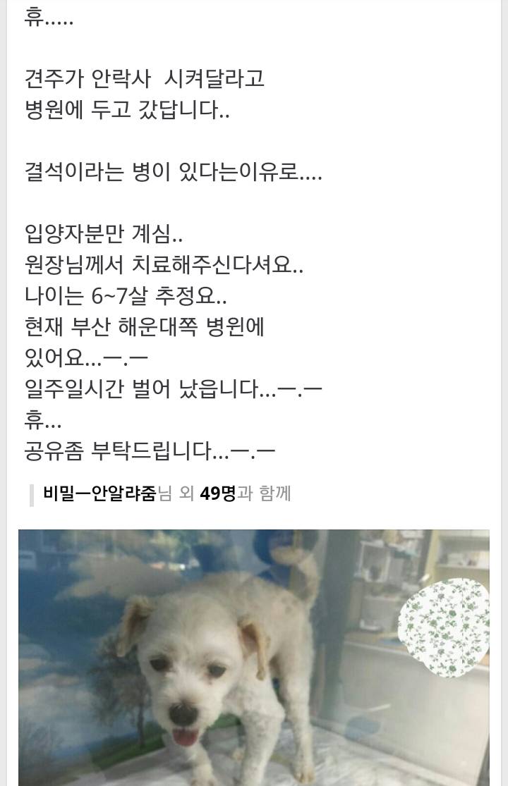 안락사 시켜달라고 병원에 강아지 맡긴 .jpg | 인스티즈
