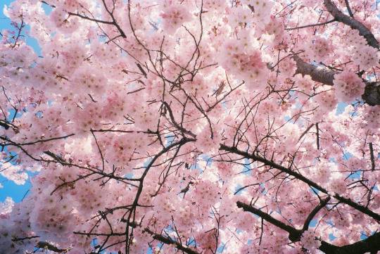  오랜 시간이 지나고 나서야 깨달았다 | 인스티즈