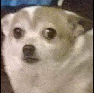 어느 블로거의 분노의 상속자들 리뷰 | 인스티즈