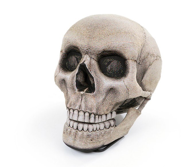 특이한 인테리어 소품들 | 인스티즈