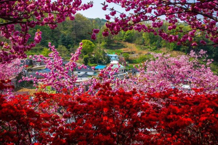 관광객보다 전주 시민들이 더 많이 가는 곳.jpg | 인스티즈