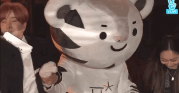 커여운 수호랑의 정체.gif | 인스티즈