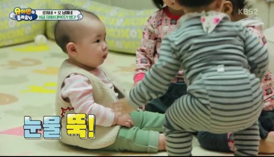 천성이 착한것 같은 대박이 JPG | 인스티즈