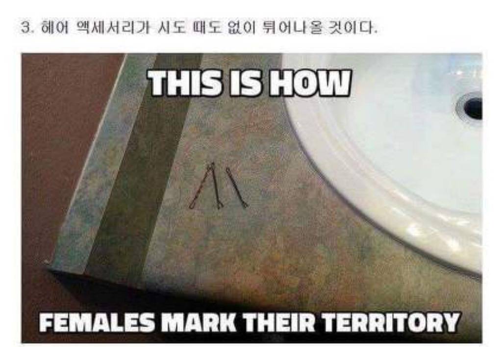 남초카페에서 돌던 여자와 동거하면 생기는 일들 | 인스티즈