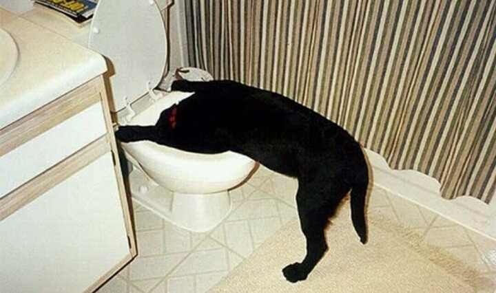 흑역사보다 100만배는 더 무서운 숙취 | 인스티즈