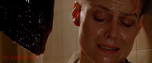 뽀뽀하는 주인에 대한 고양이의 시선.gif(혐오주의) | 인스티즈