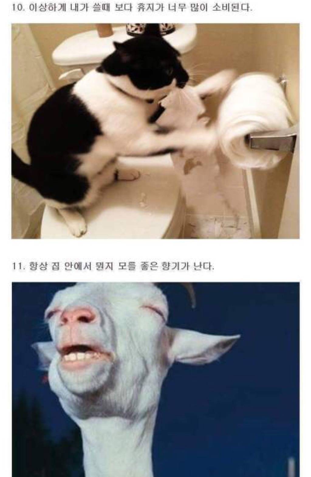 남초카페에서 돌던 여자와 동거하면 생기는 일들 | 인스티즈