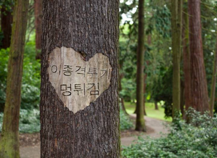 스타벅스이사 한국인비하 발언 | 인스티즈