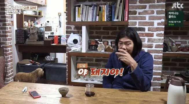 효리네민박에 나온 돼냥이.jpg | 인스티즈