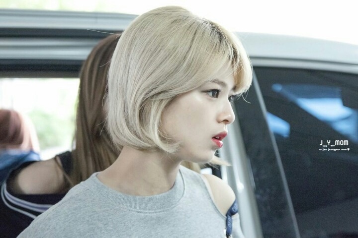 트와이스 정연 | 인스티즈