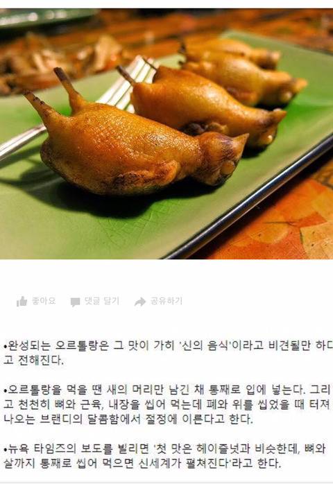 개고기가 잔인하다고 비난하던 나라의 음식 | 인스티즈