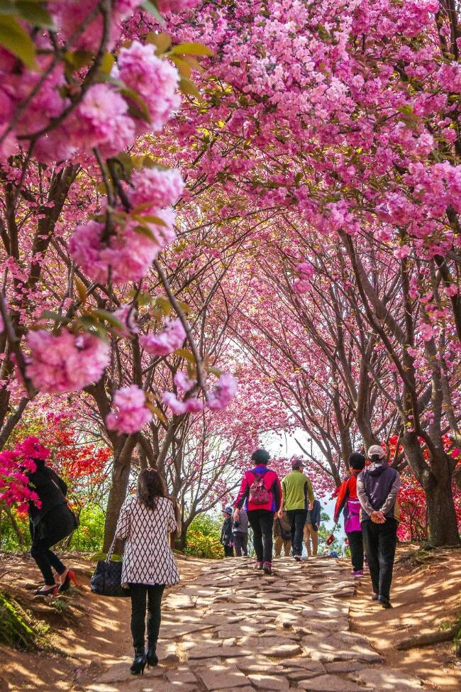 관광객보다 전주 시민들이 더 많이 가는 곳.jpg | 인스티즈