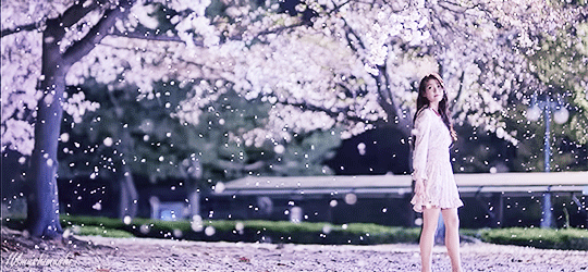 최근 아이유 소니 광고.gif | 인스티즈