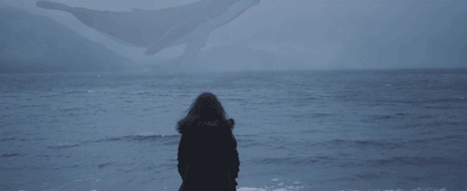 고래가 하늘을 난다면 이런 느낌?.gif | 인스티즈