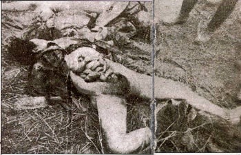 이들을 정말 같은 인간이라고 할수 있을까? (혐오주의) | 인스티즈