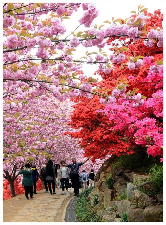 관광객보다 전주 시민들이 더 많이 가는 곳.jpg | 인스티즈