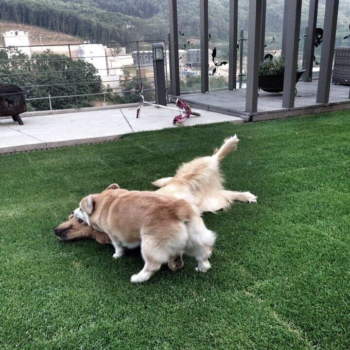 변정수네 집 | 인스티즈