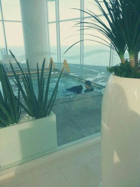 크리스탈 카이 사진라고 풀린...jpg | 인스티즈