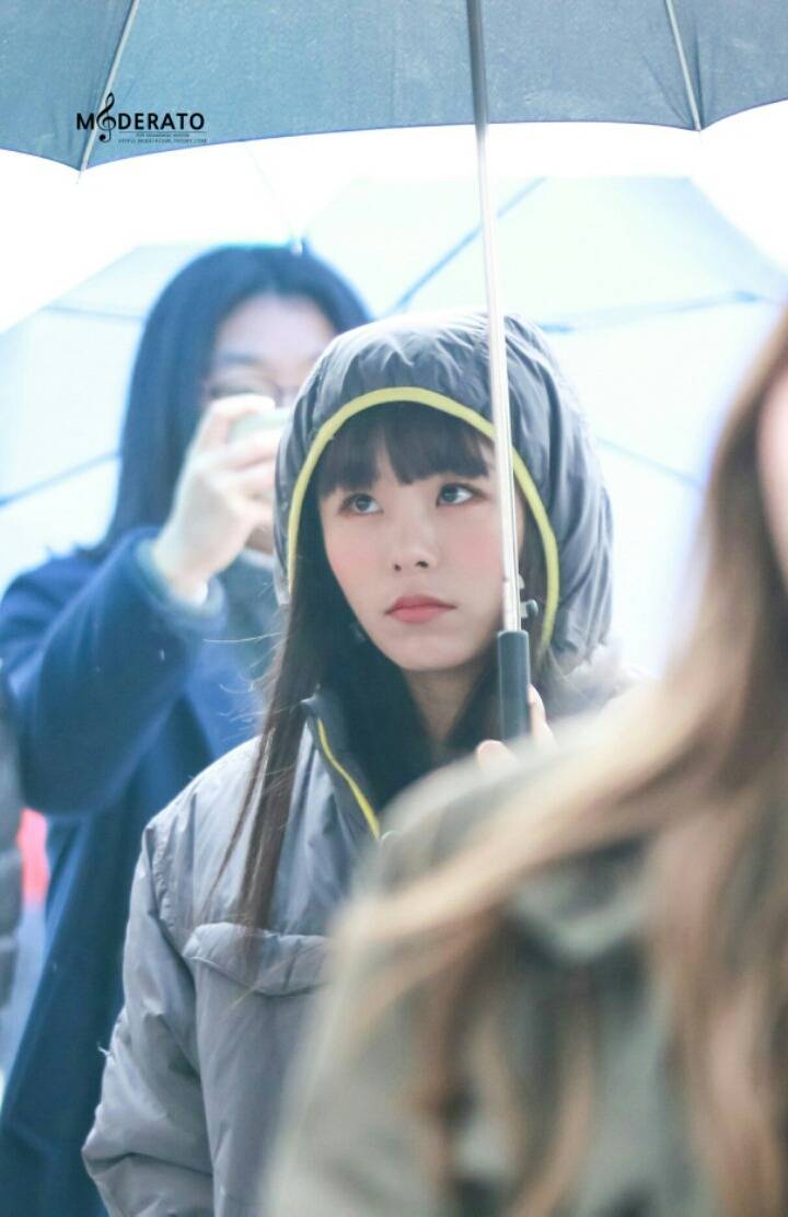 항상 귀여운 마마무 휘인 | 인스티즈