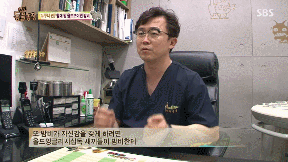 포메라니안의 사자 코스프레.gif | 인스티즈
