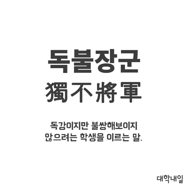 대학생 사자성어 | 인스티즈