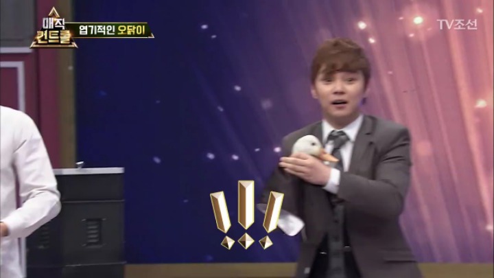 최현우 충격 엽기적인 동물마술 | 인스티즈