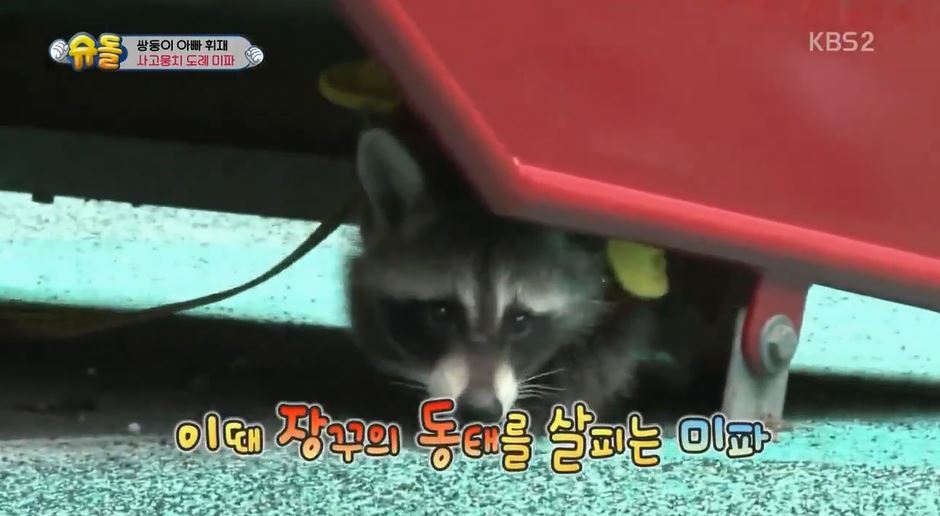 서언이 서준이 보면서 놀란 아이들의 감정 | 인스티즈