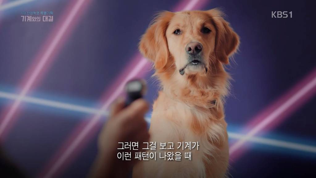 인공지능의 현실 | 인스티즈