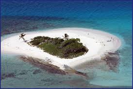 당신은 마약을 밀매하는 외과의사입니다. 그런데... | 인스티즈