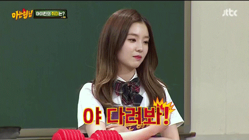 아이린이 예능에 많이 나오지 않았으면 하는 또 다른 이유 | 인스티즈