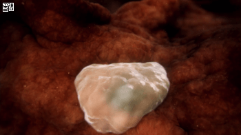 임신이 어려운 이유.gif | 인스티즈