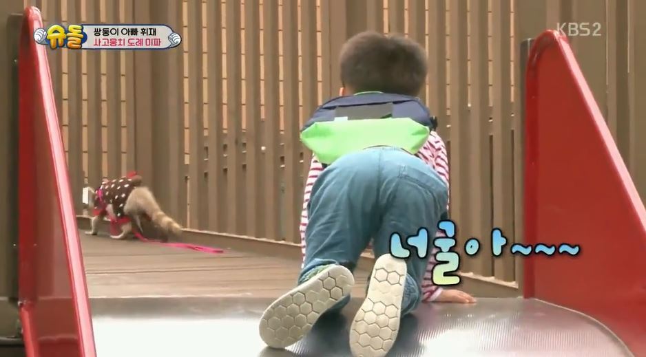 서언이 서준이 보면서 놀란 아이들의 감정 | 인스티즈