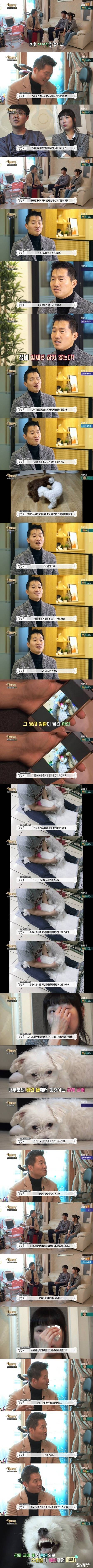 [세나개] 반려견을 업체에서 강제 교배를 하면 안되는 이유.jpgif | 인스티즈