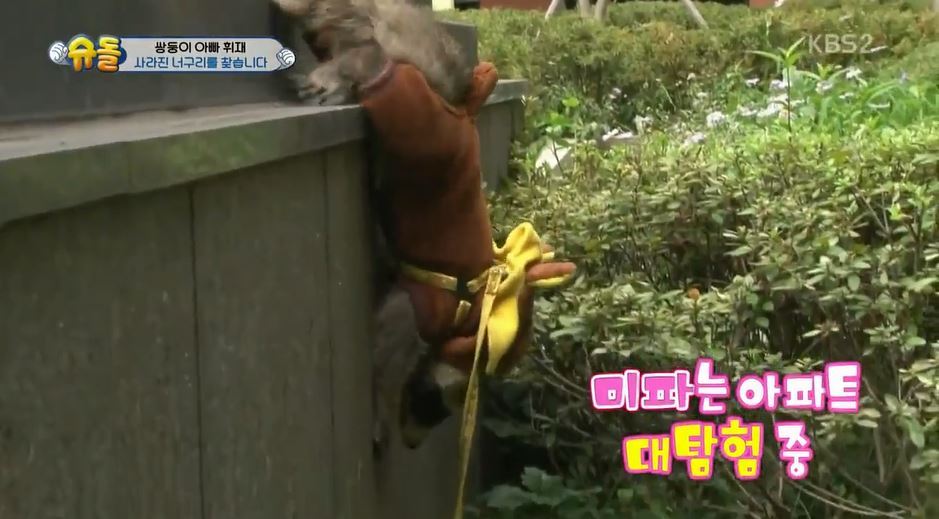 서언이 서준이 보면서 놀란 아이들의 감정 | 인스티즈