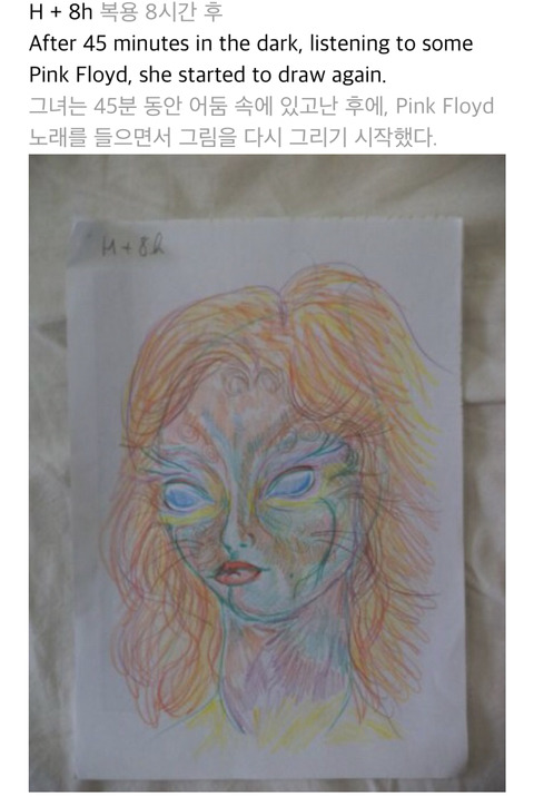 마약(LSD)을 복용한 여자가 그린 자화상 | 인스티즈