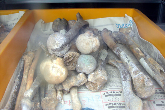 종북을 외치던 그들의 잘못된 세월을 외면하지 말아야하는 이유 | 인스티즈