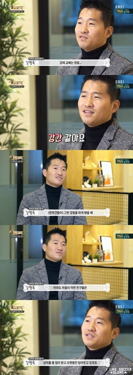 [세나개] 반려견을 업체에서 강제 교배를 하면 안되는 이유.jpgif | 인스티즈