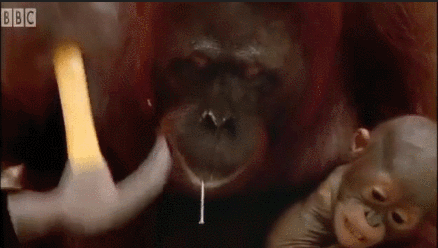 1학년 데리고 실습하는 4학년.gif | 인스티즈