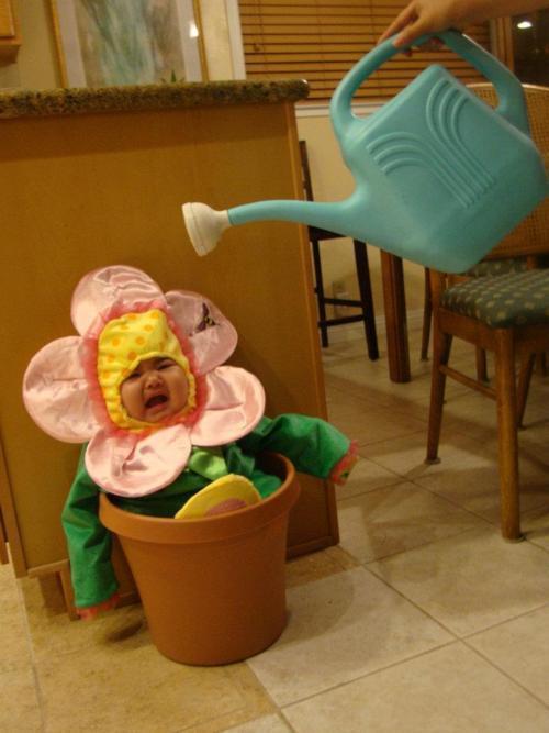 아이들의 할로윈 코스프레 1(+50) | 인스티즈