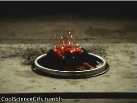 신기한 화학반응 짤(혐오주의) | 인스티즈