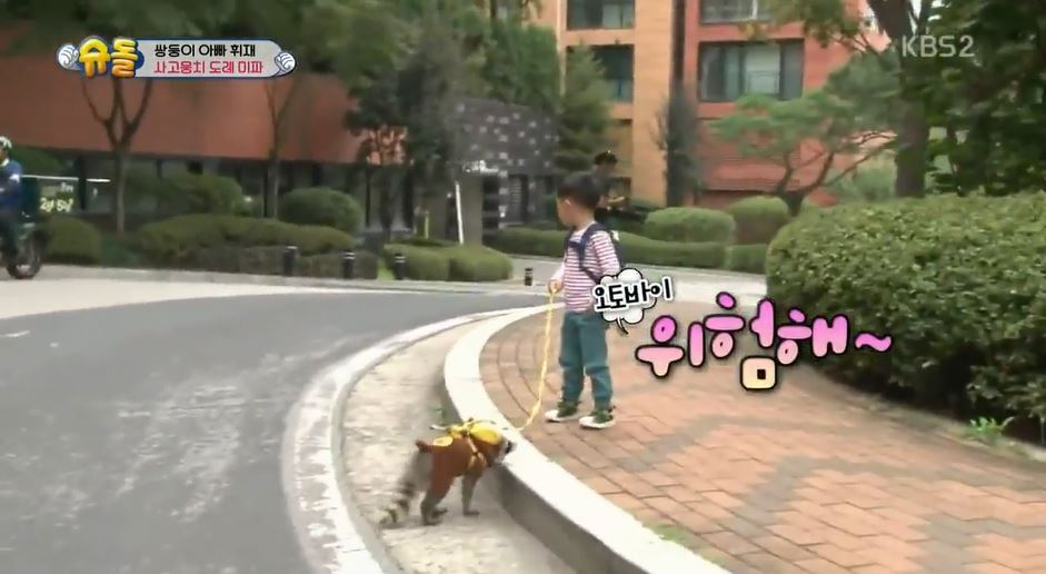 서언이 서준이 보면서 놀란 아이들의 감정 | 인스티즈