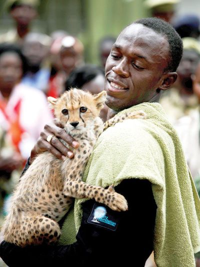 키울 능력있으면 개냥이라는 고양이과 동물.jpg | 인스티즈