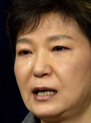 탄핵가결기념 그네상황 짤방요약 jpg | 인스티즈