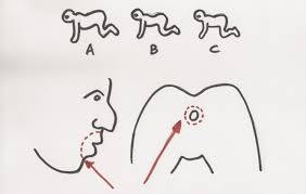 잔인한거 잘 보든 말든 볼 이유가 1도 없다는 영화 | 인스티즈